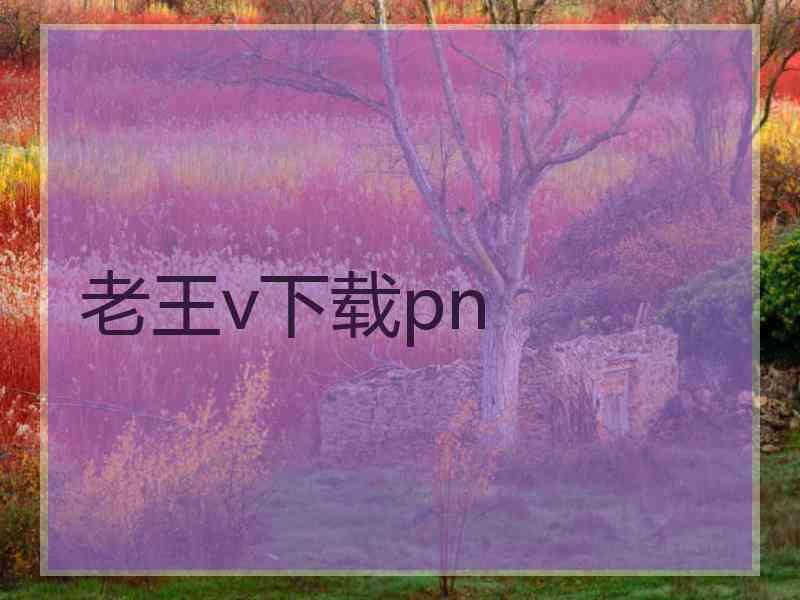 老王v下载pn