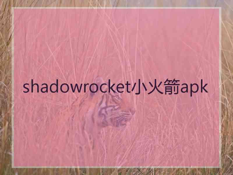 shadowrocket小火箭apk