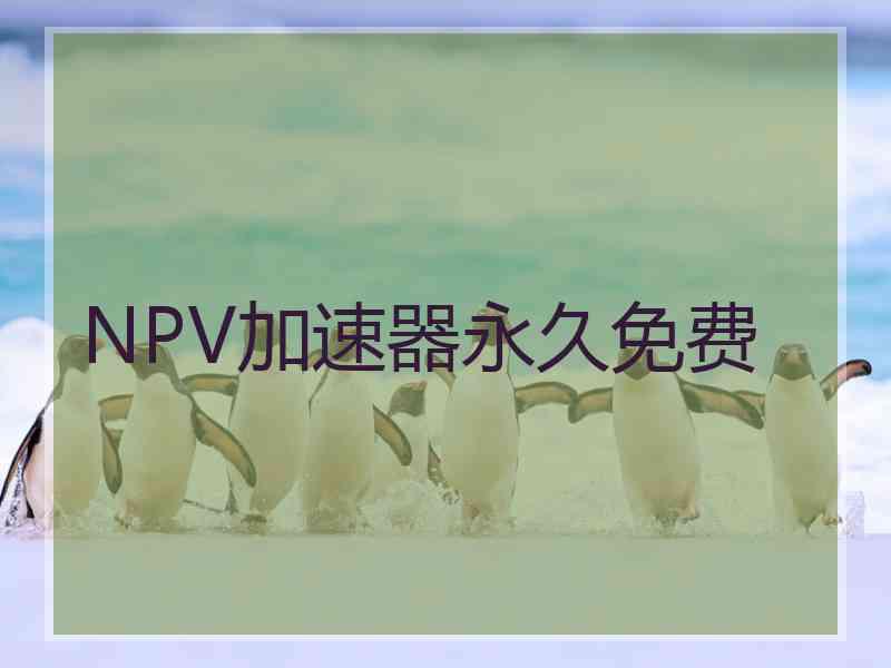 NPV加速器永久免费