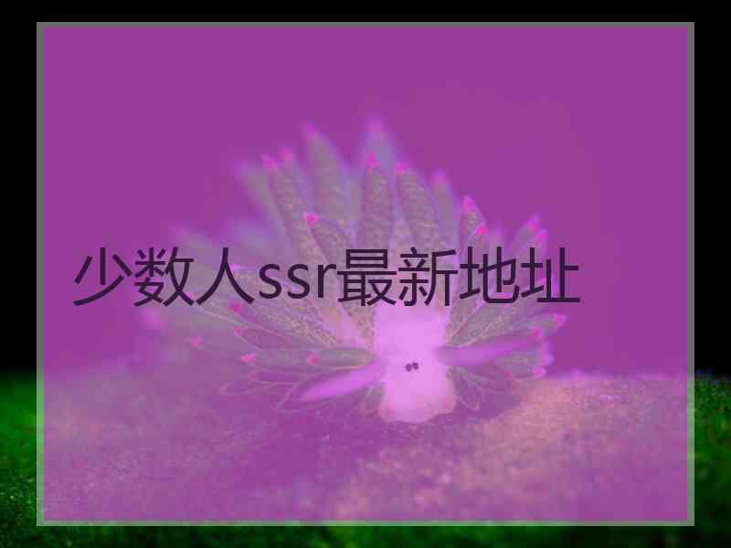 少数人ssr最新地址