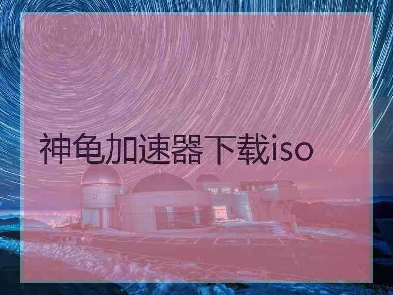 神龟加速器下载iso