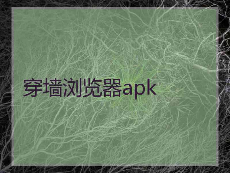 穿墙浏览器apk