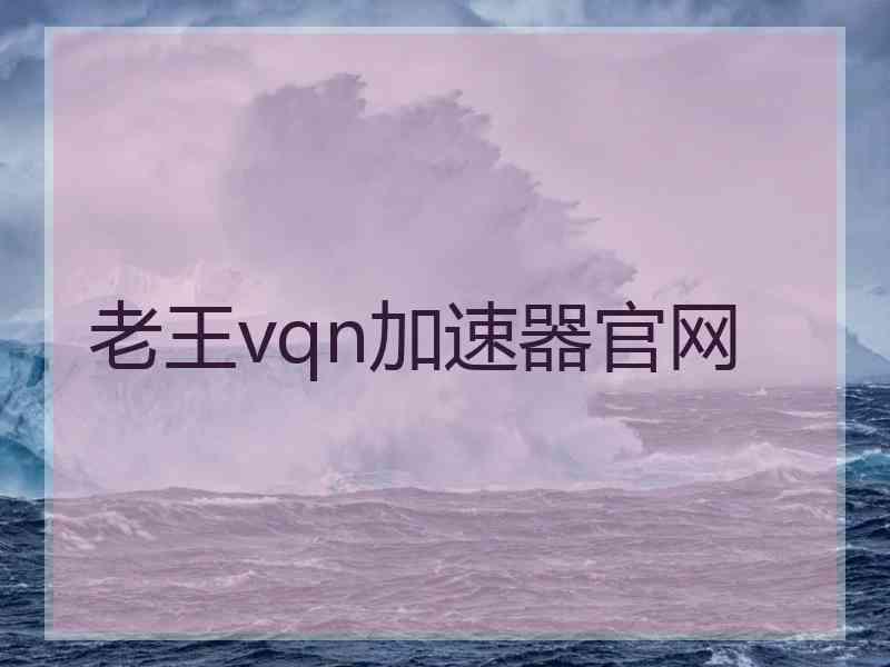 老王vqn加速器官网