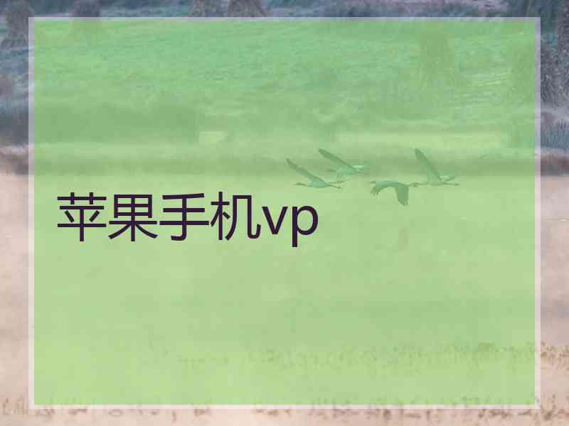 苹果手机vp