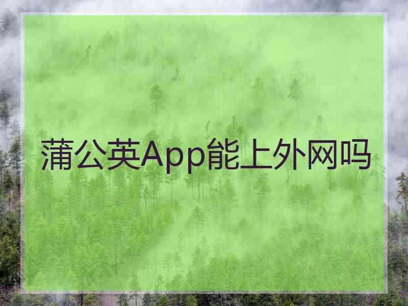 蒲公英App能上外网吗