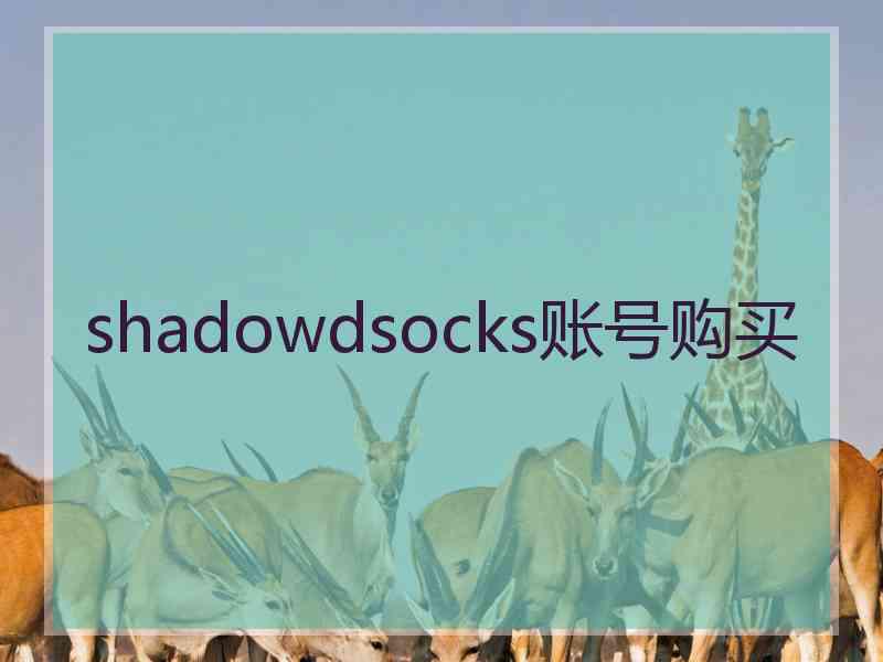 shadowdsocks账号购买