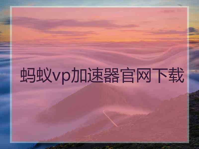 蚂蚁vp加速器官网下载