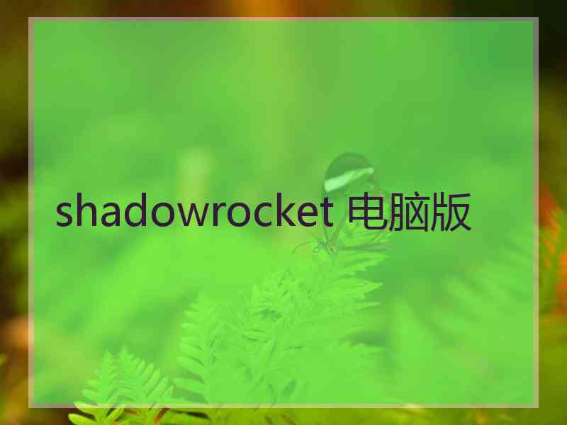 shadowrocket 电脑版