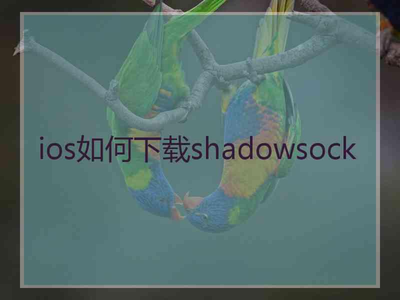 ios如何下载shadowsock