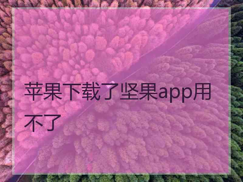 苹果下载了坚果app用不了