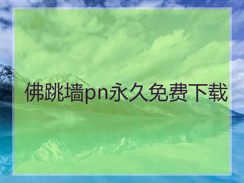 佛跳墙pn永久免费下载