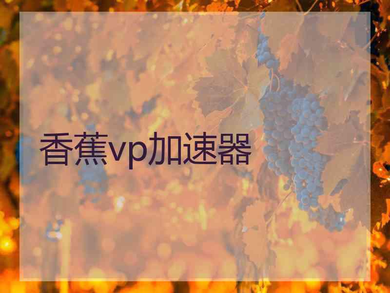 香蕉vp加速器