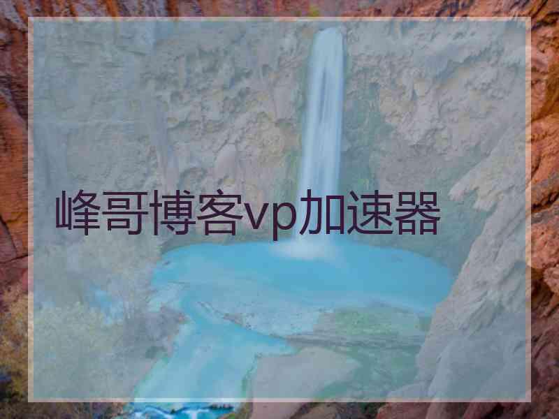 峰哥博客vp加速器