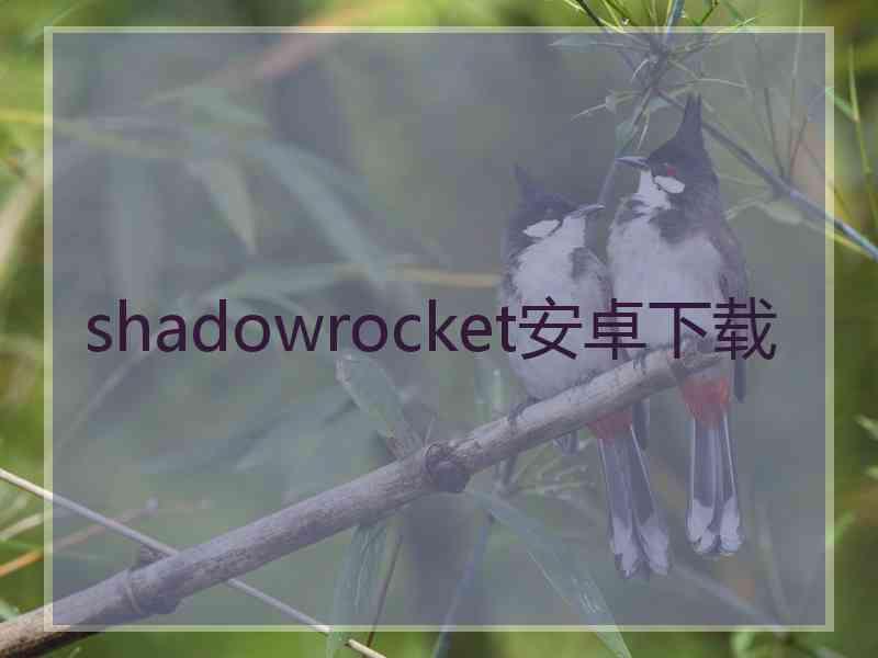 shadowrocket安卓下载