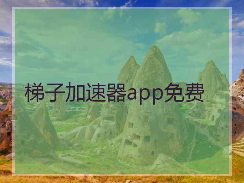 梯子加速器app免费