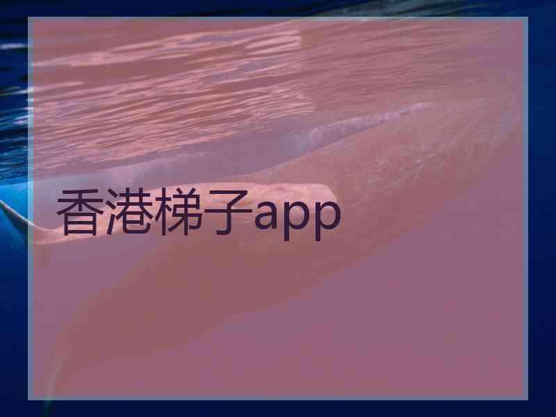 香港梯子app