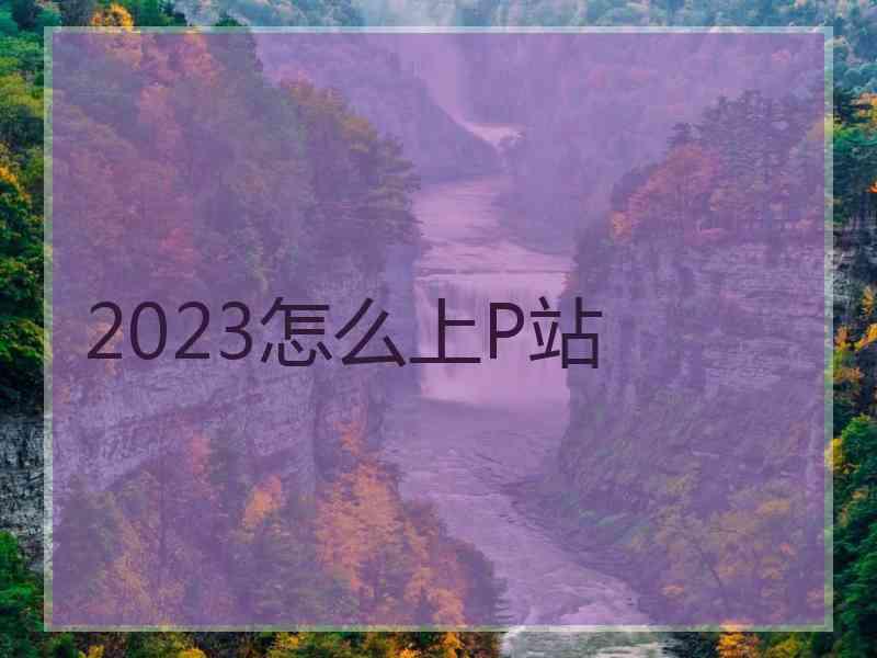 2023怎么上P站