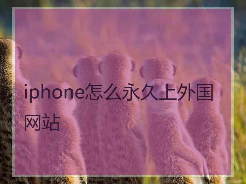 iphone怎么永久上外国网站