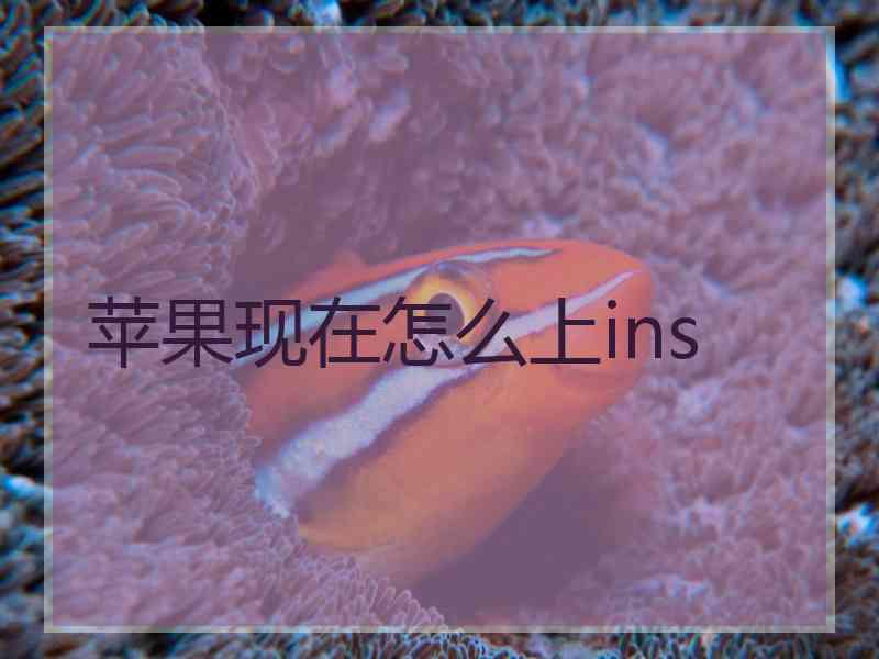 苹果现在怎么上ins