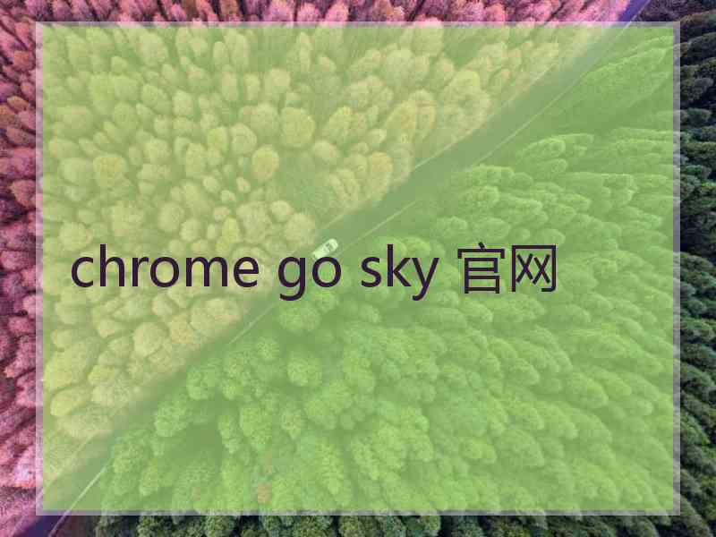 chrome go sky 官网