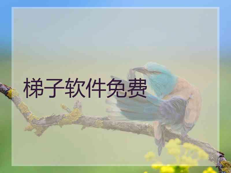 梯子软件免费