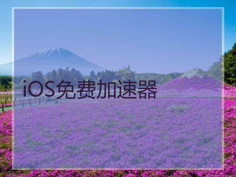 iOS免费加速器