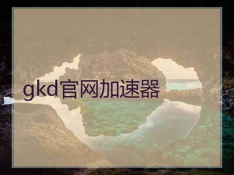 gkd官网加速器