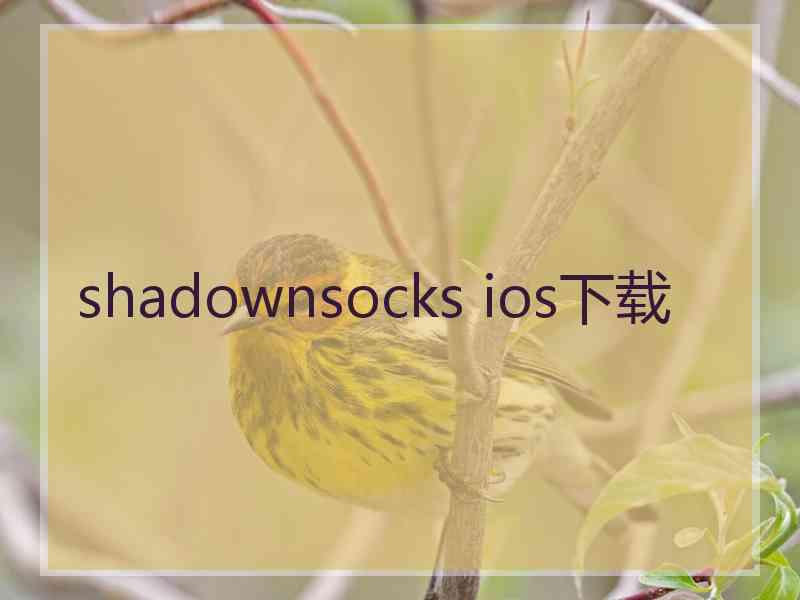 shadownsocks ios下载