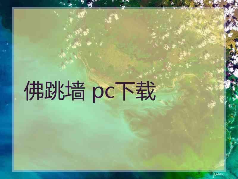 佛跳墙 pc下载