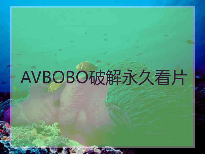 AVBOBO破解永久看片