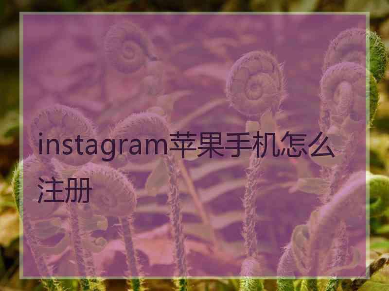 instagram苹果手机怎么注册