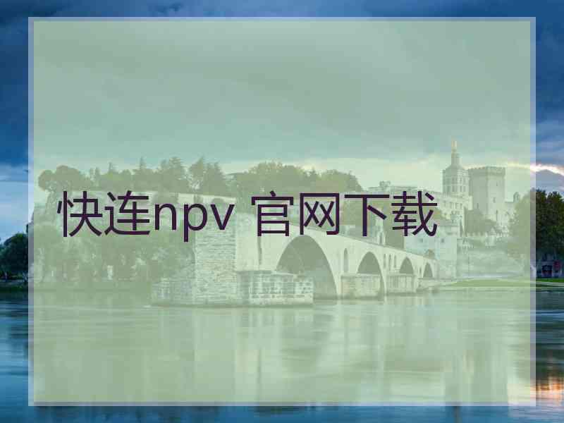 快连npv 官网下载