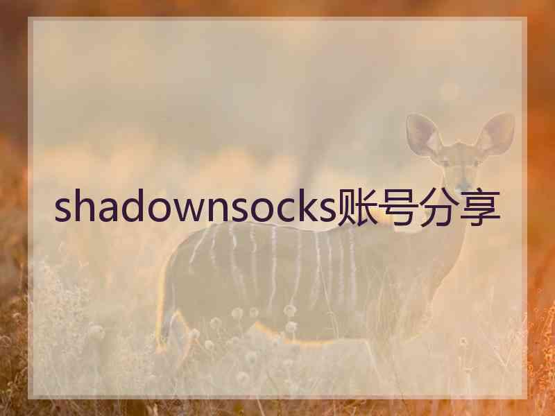 shadownsocks账号分享