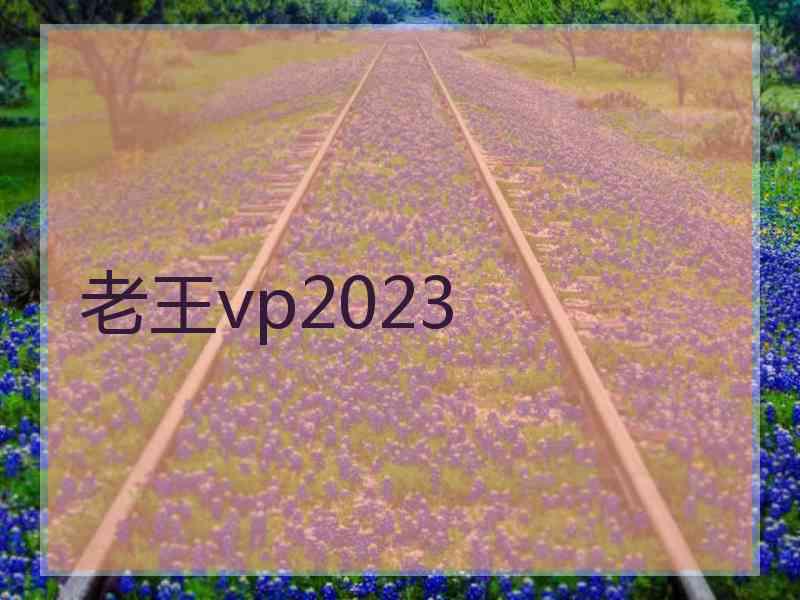 老王vp2023