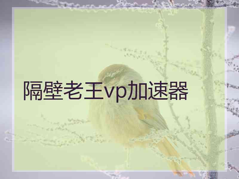 隔壁老王vp加速器