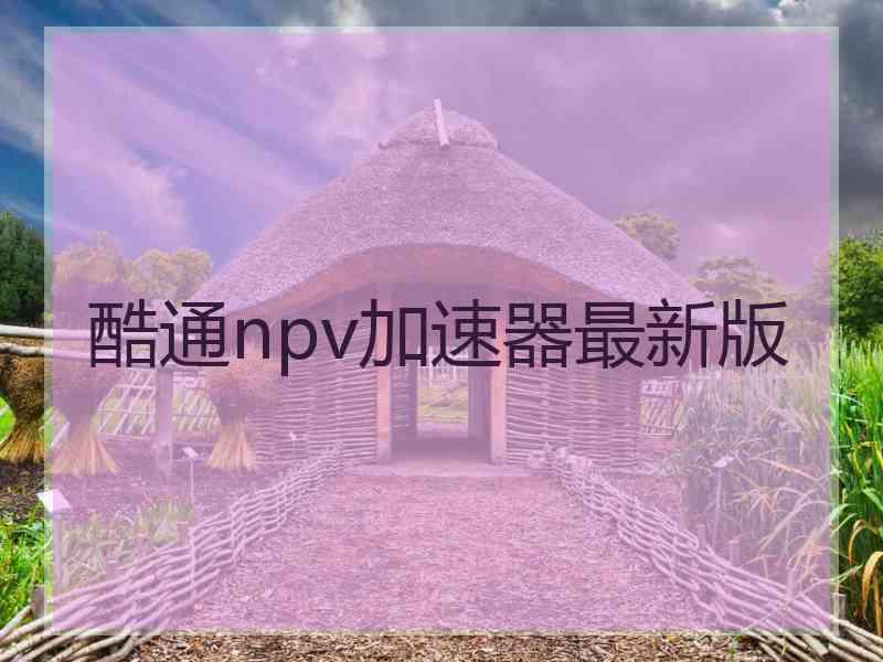 酷通npv加速器最新版