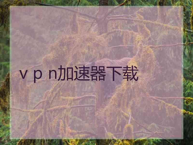 v p n加速器下载