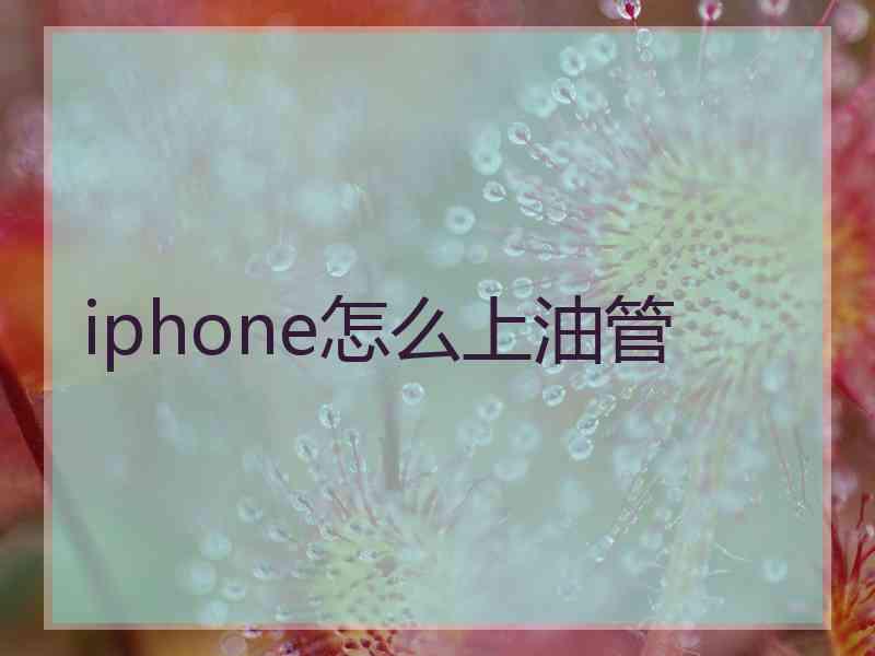 iphone怎么上油管