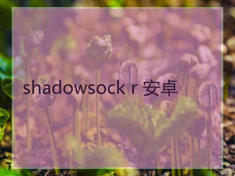 shadowsock r 安卓