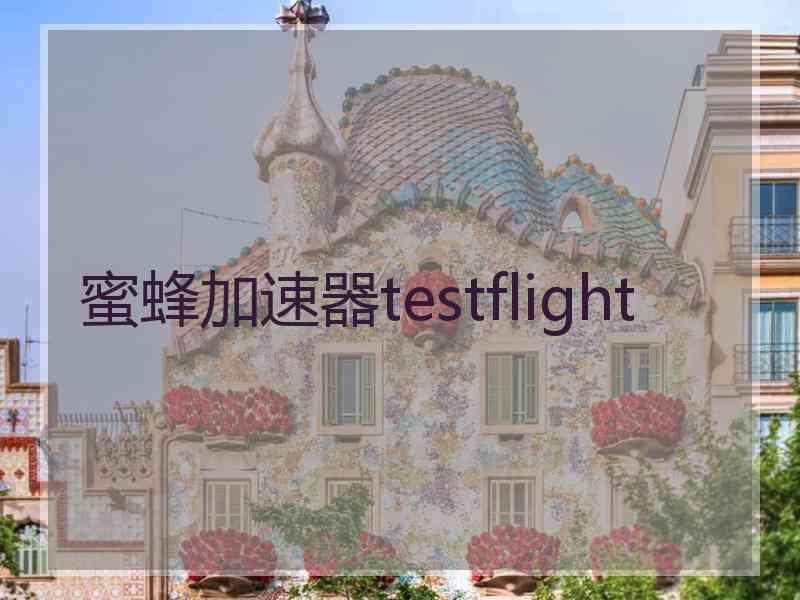 蜜蜂加速器testflight