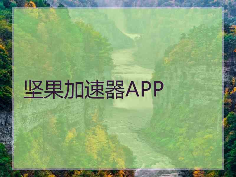 坚果加速器APP