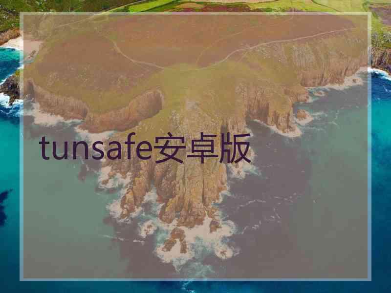 tunsafe安卓版