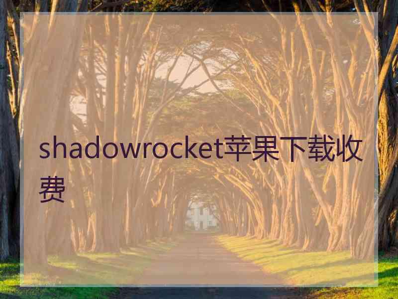 shadowrocket苹果下载收费