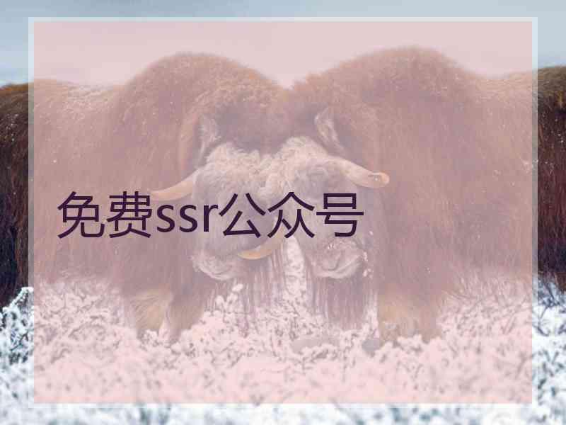 免费ssr公众号