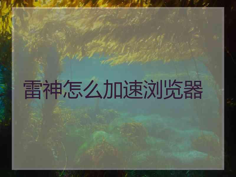 雷神怎么加速浏览器