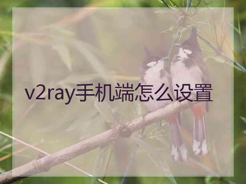 v2ray手机端怎么设置