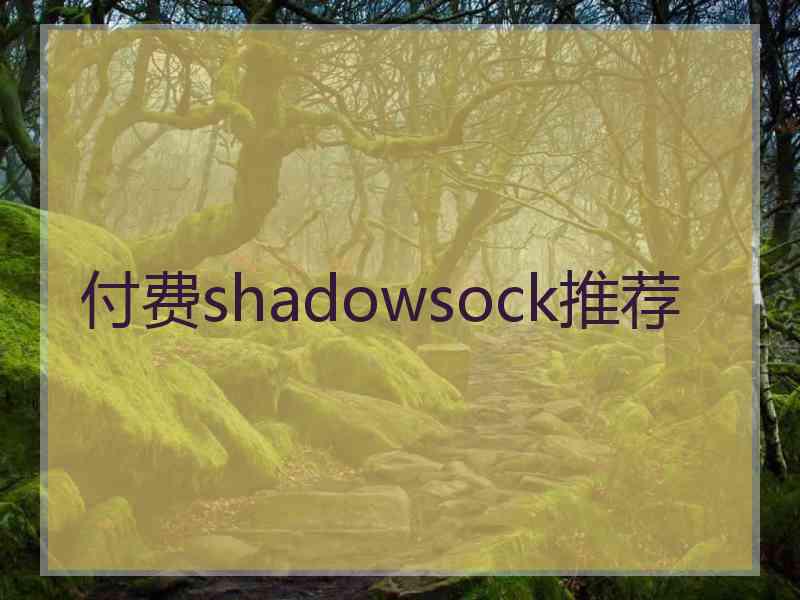 付费shadowsock推荐