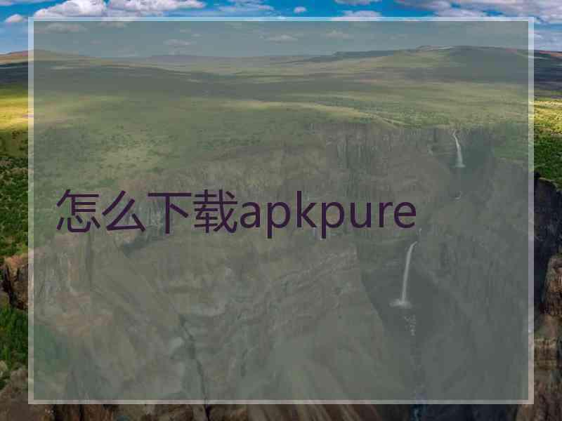 怎么下载apkpure