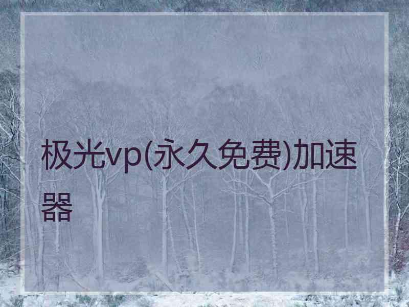 极光vp(永久免费)加速器