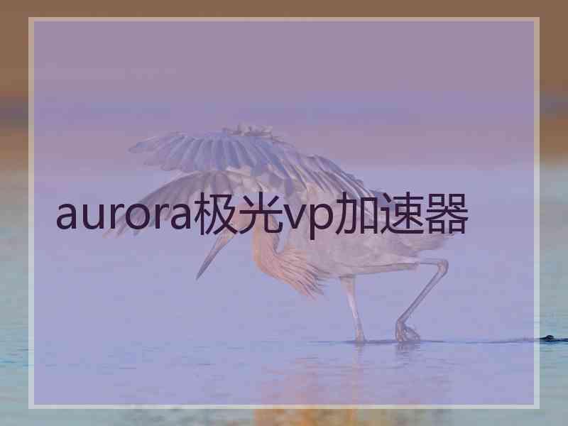 aurora极光vp加速器